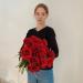 Крупные розы Эквадор 15 шт