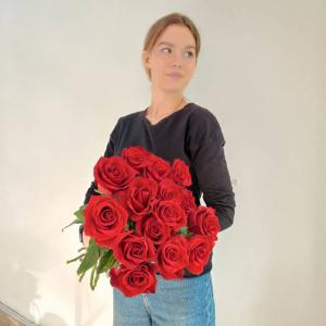 Крупные розы Эквадор 15 шт